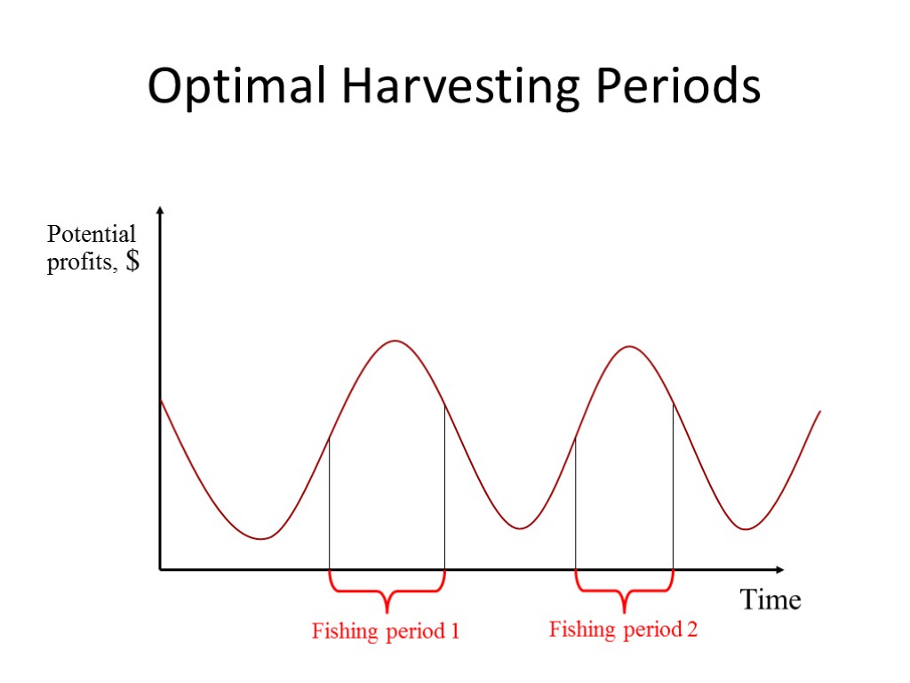 Optimal Harvesting Periods Time Potential profits, $ Fishing period 1 Fishing period 2